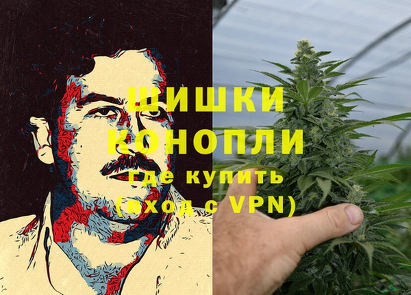 прущие грибы Лихославль