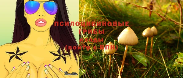 винт Алзамай